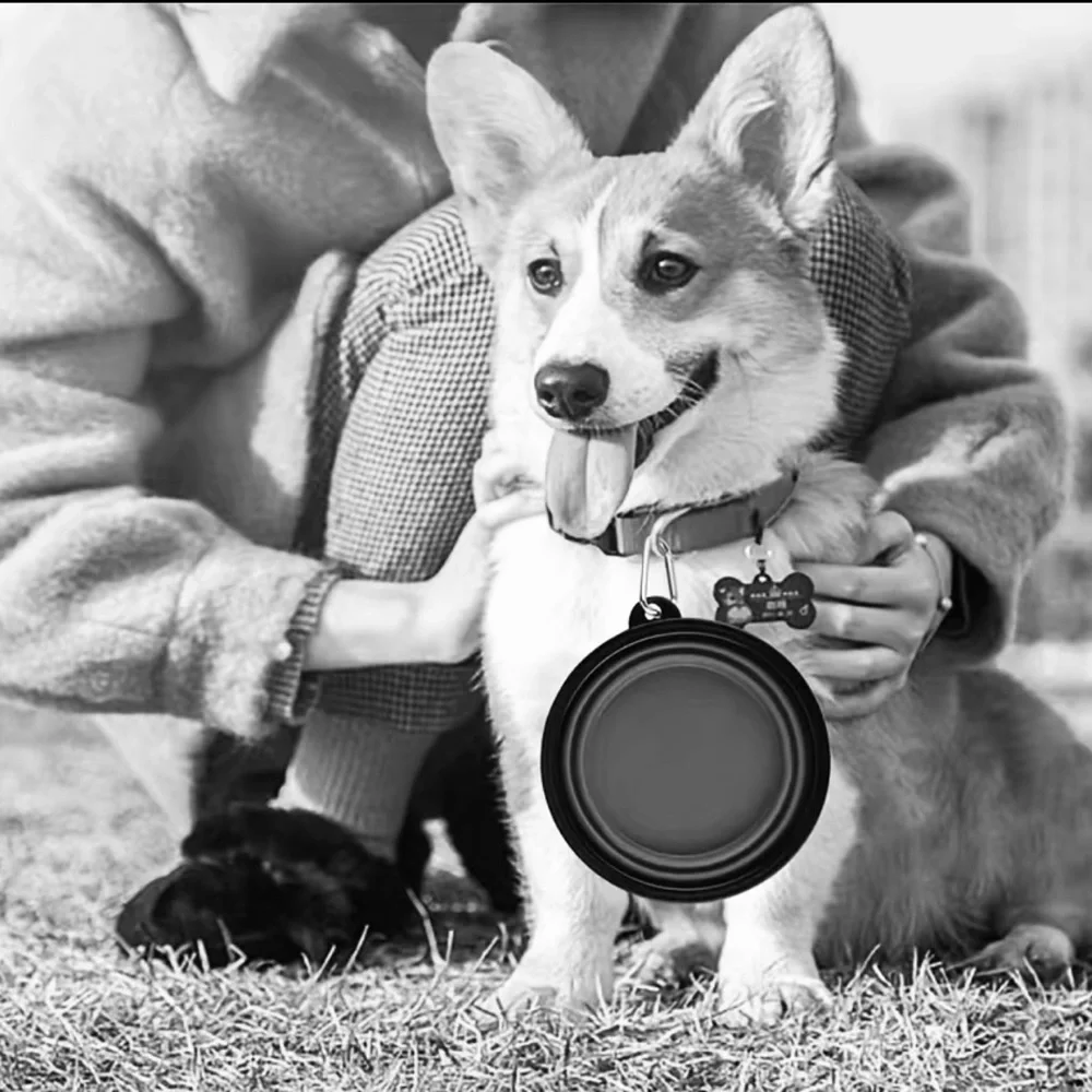 BNIB - Portable Pet Bowl
